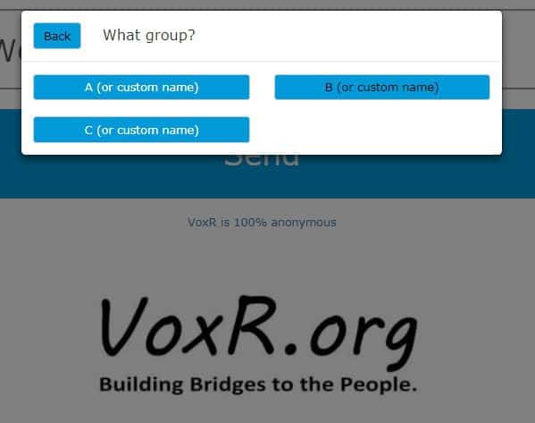 Segmente befragen mit VOXR Groups